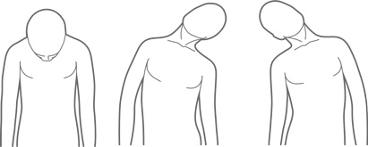 Иллюстрация к книге — Физический интеллект [i_039.jpg]