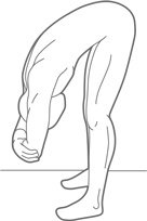 Иллюстрация к книге — Физический интеллект [i_058.jpg]