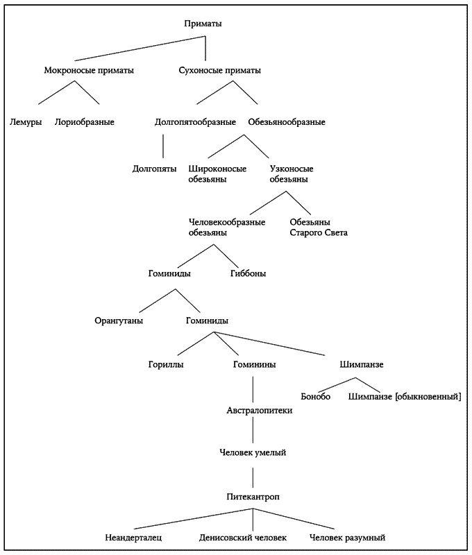 Иллюстрация к книге — История величайшего изобретения. Как начинался язык [i_003.jpg]