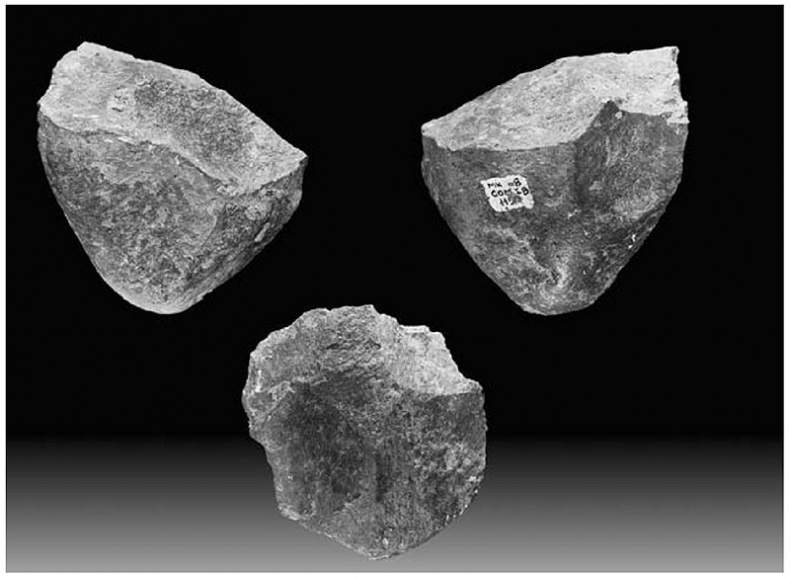 Иллюстрация к книге — История величайшего изобретения. Как начинался язык [i_014.jpg]