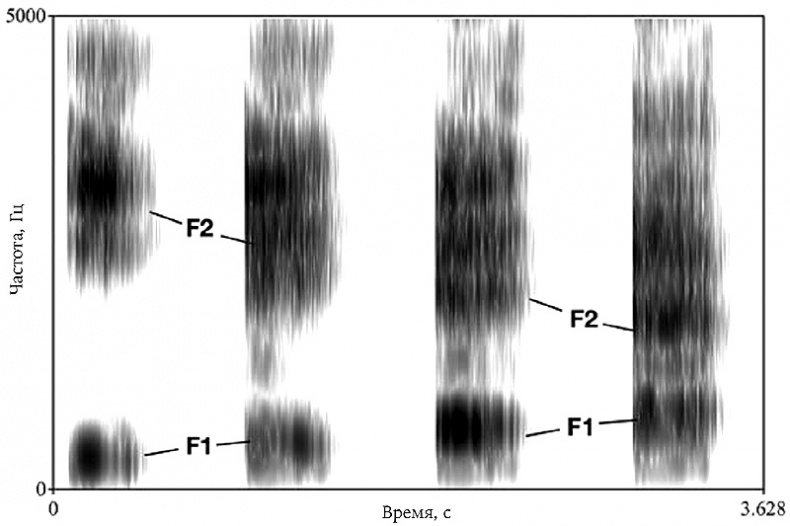 Иллюстрация к книге — История величайшего изобретения. Как начинался язык [i_026.jpg]
