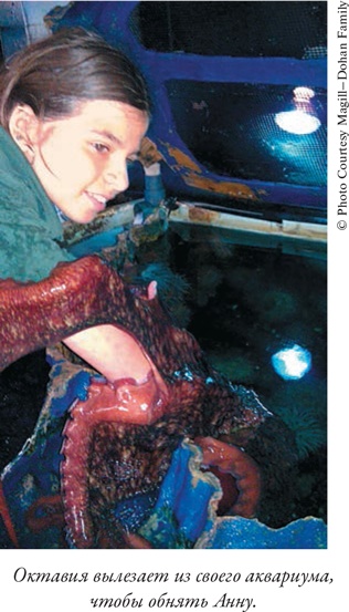 Иллюстрация к книге — Душа осьминога. Тайны сознания удивительного существа [i_004.jpg]