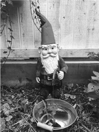 Иллюстрация к книге — Прорваться сквозь шум [i_016.jpg]