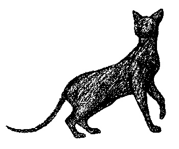 Иллюстрация к книге — Кот для двоих [i_001.jpg]