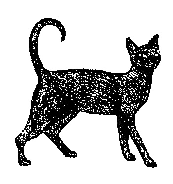 Иллюстрация к книге — Кот для двоих [i_003.jpg]