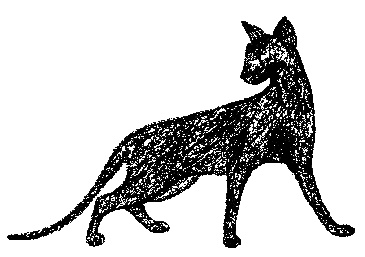 Иллюстрация к книге — Кот для двоих [i_004.jpg]