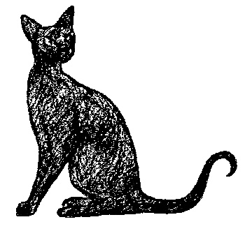 Иллюстрация к книге — Кот для двоих [i_006.jpg]