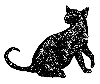 Иллюстрация к книге — Кот для двоих [i_010.jpg]