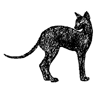 Иллюстрация к книге — Кот для двоих [i_012.jpg]