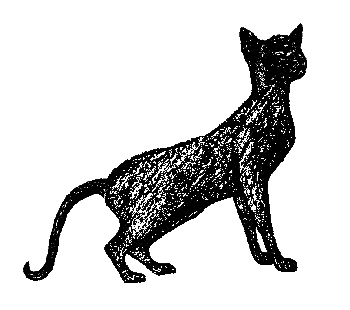 Иллюстрация к книге — Кот для двоих [i_019.jpg]