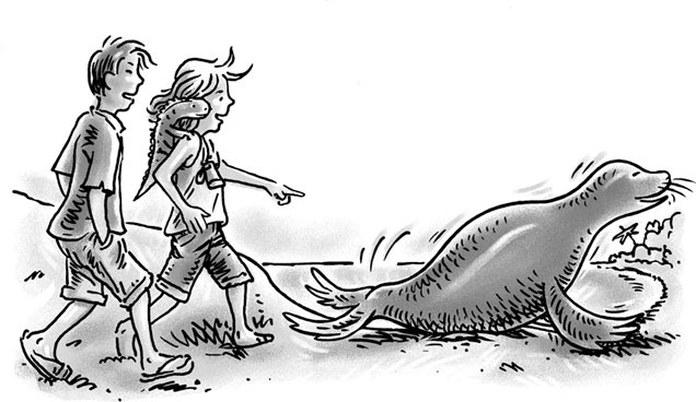 Иллюстрация к книге — Возвращение на остров Ним [i_009.jpg]