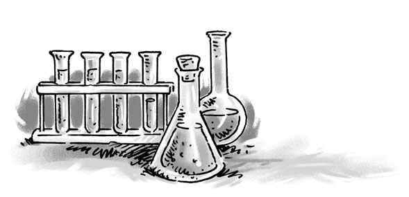 Иллюстрация к книге — Возвращение на остров Ним [i_010.jpg]