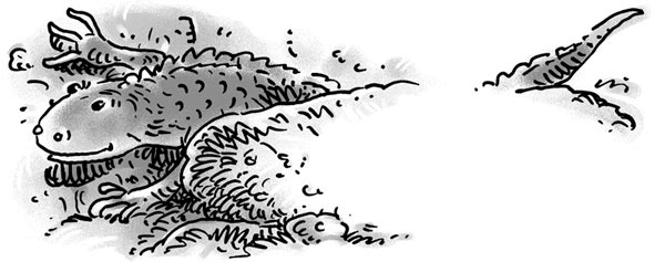 Иллюстрация к книге — Возвращение на остров Ним [i_012.jpg]