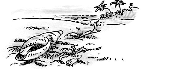 Иллюстрация к книге — Возвращение на остров Ним [i_016.jpg]