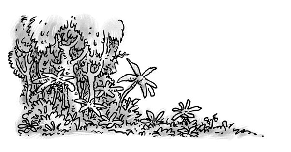 Иллюстрация к книге — Возвращение на остров Ним [i_020.jpg]