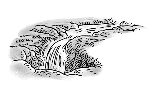 Иллюстрация к книге — Возвращение на остров Ним [i_037.jpg]