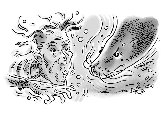 Иллюстрация к книге — Возвращение на остров Ним [i_040.jpg]