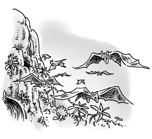 Иллюстрация к книге — Возвращение на остров Ним [i_043.jpg]