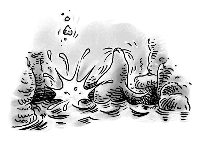 Иллюстрация к книге — Возвращение на остров Ним [i_046.jpg]