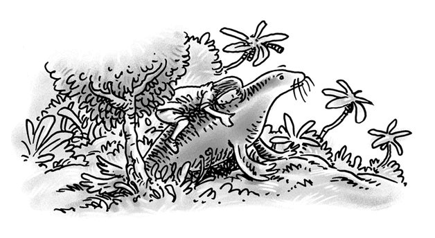 Иллюстрация к книге — Возвращение на остров Ним [i_047.jpg]