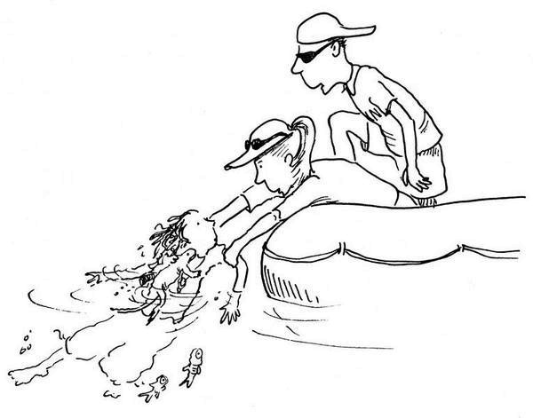 Иллюстрация к книге — Ним и море [i_011.jpg]