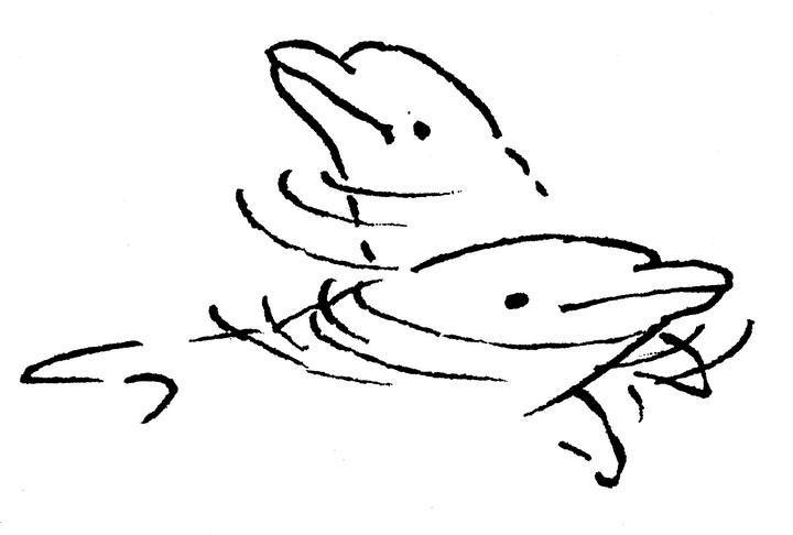 Иллюстрация к книге — Ним и море [i_013.jpg]