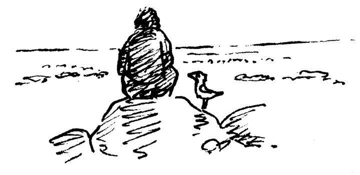 Иллюстрация к книге — Ним и море [i_017.jpg]