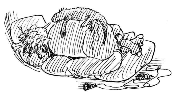 Иллюстрация к книге — Ним и море [i_025.jpg]