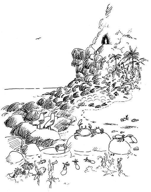 Иллюстрация к книге — Ним и море [i_028.jpg]