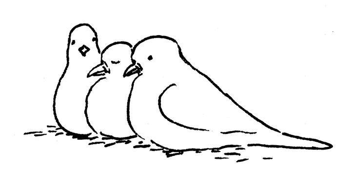 Иллюстрация к книге — Ним и море [i_031.jpg]