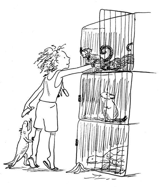 Иллюстрация к книге — Ним и море [i_032.jpg]