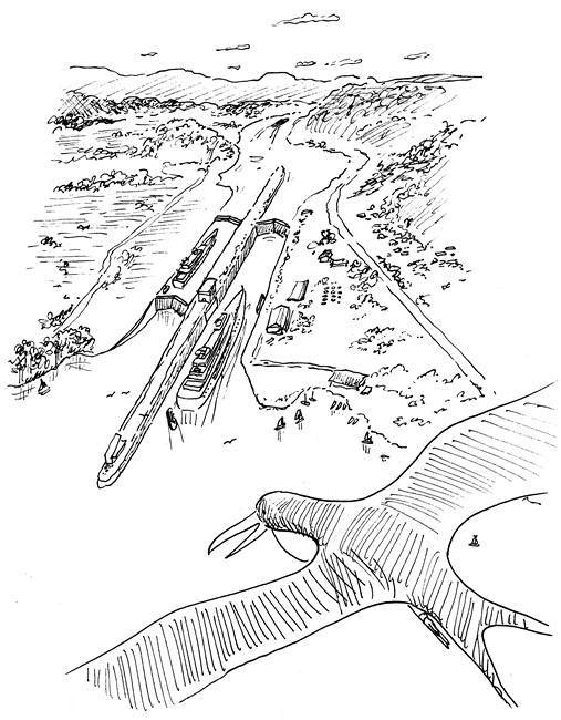 Иллюстрация к книге — Ним и море [i_035.jpg]