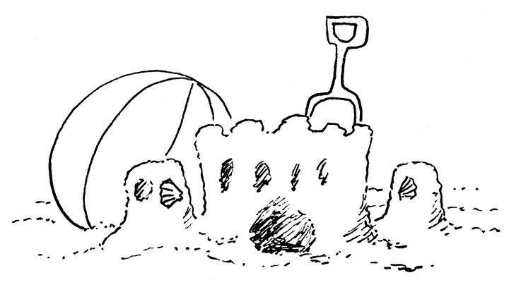 Иллюстрация к книге — Ним и море [i_040.jpg]