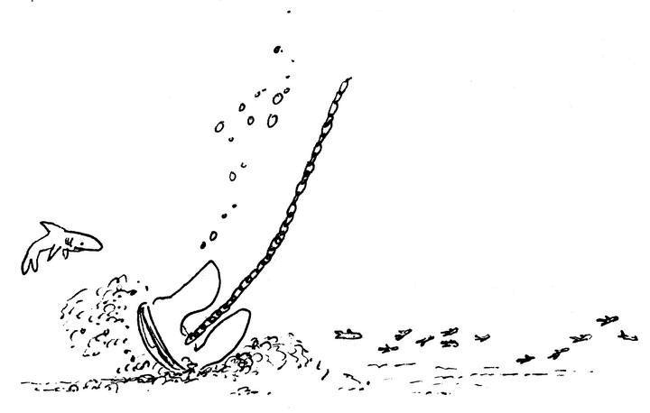 Иллюстрация к книге — Ним и море [i_042.jpg]