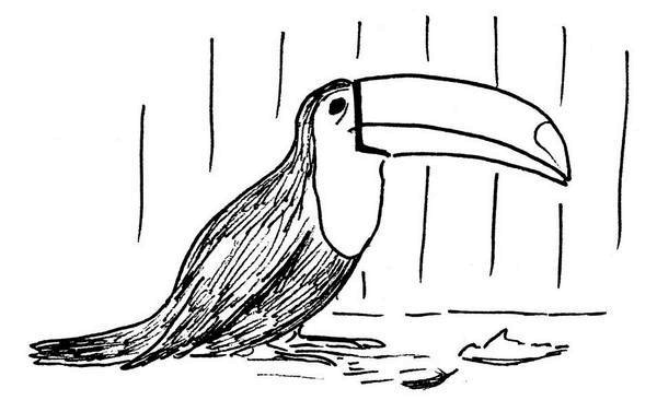 Иллюстрация к книге — Ним и море [i_045.jpg]