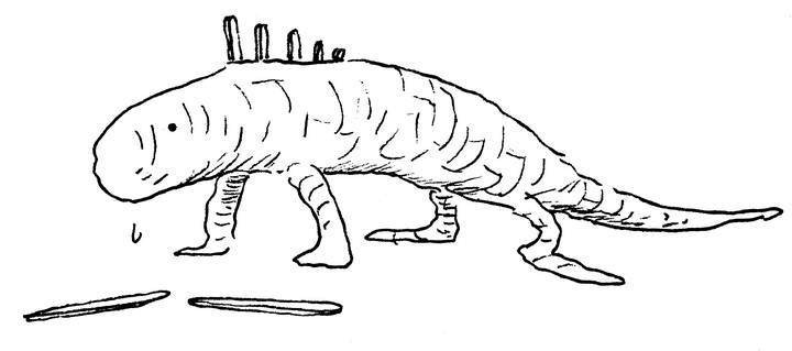 Иллюстрация к книге — Ним и море [i_046.jpg]