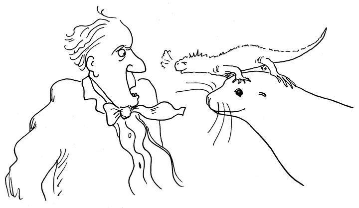 Иллюстрация к книге — Ним и море [i_050.jpg]