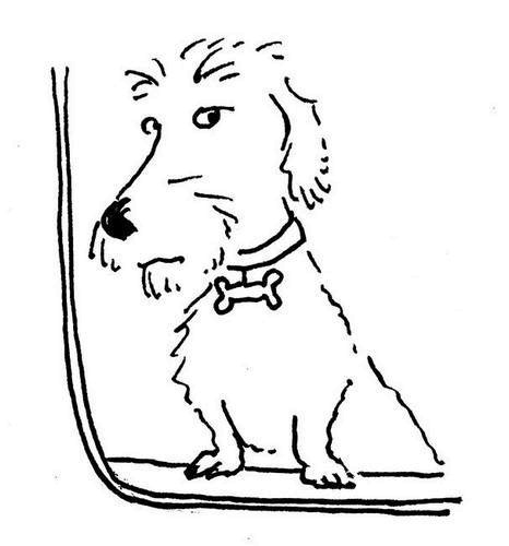 Иллюстрация к книге — Ним и море [i_060.jpg]