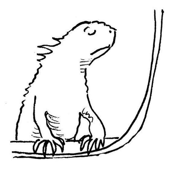 Иллюстрация к книге — Ним и море [i_062.jpg]