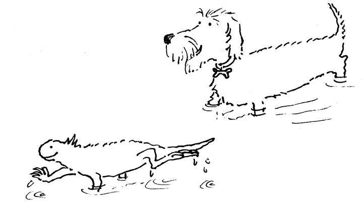 Иллюстрация к книге — Ним и море [i_063.jpg]