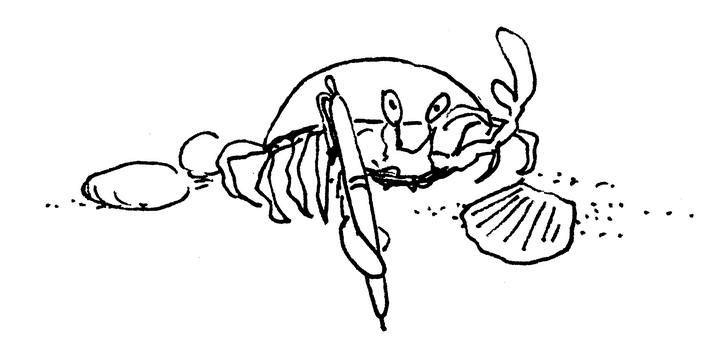 Иллюстрация к книге — Ним и море [i_077.jpg]