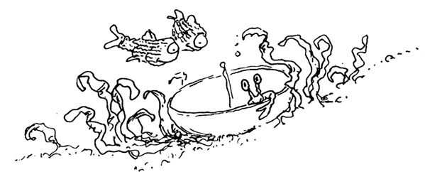 Иллюстрация к книге — Остров Ним [i_008.jpg]