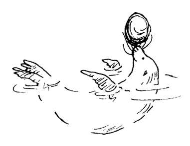 Иллюстрация к книге — Остров Ним [i_015.jpg]