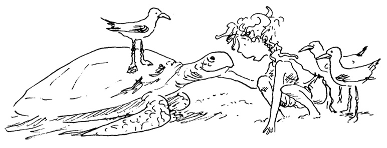 Иллюстрация к книге — Остров Ним [i_022.jpg]