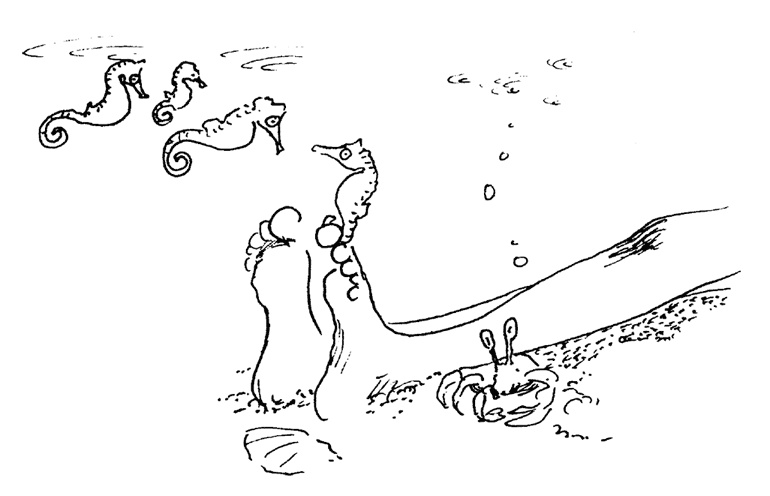 Иллюстрация к книге — Остров Ним [i_030.jpg]