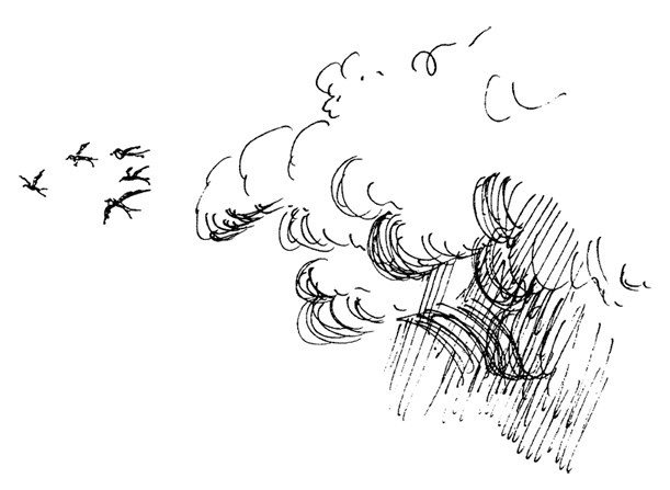 Иллюстрация к книге — Остров Ним [i_039.jpg]