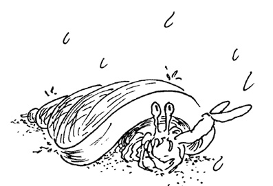 Иллюстрация к книге — Остров Ним [i_041.jpg]