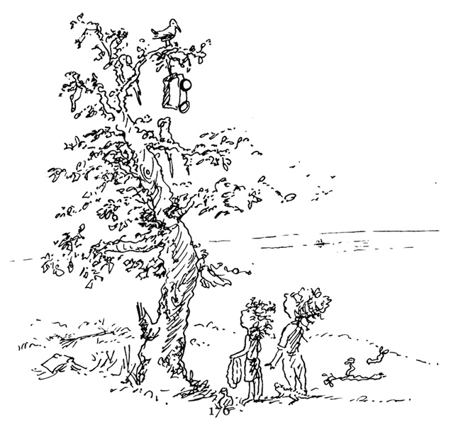 Иллюстрация к книге — Остров Ним [i_045.jpg]