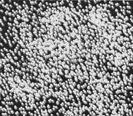 Иллюстрация к книге — Нереальная реальность. Путешествие по квантовой петле [i_033.jpg]