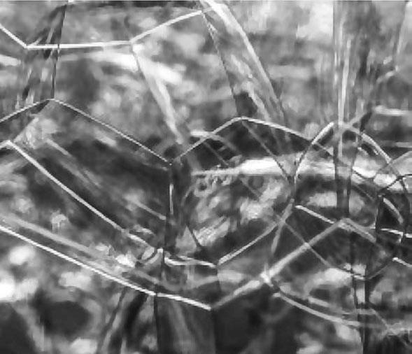 Иллюстрация к книге — Нереальная реальность. Путешествие по квантовой петле [i_049.jpg]